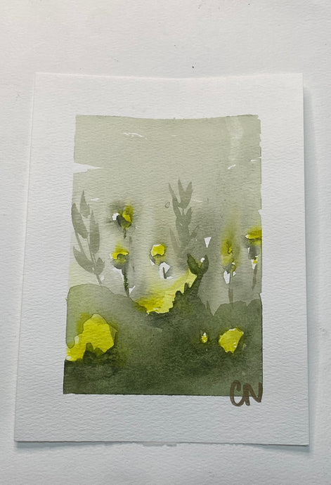 Morning blooms 2