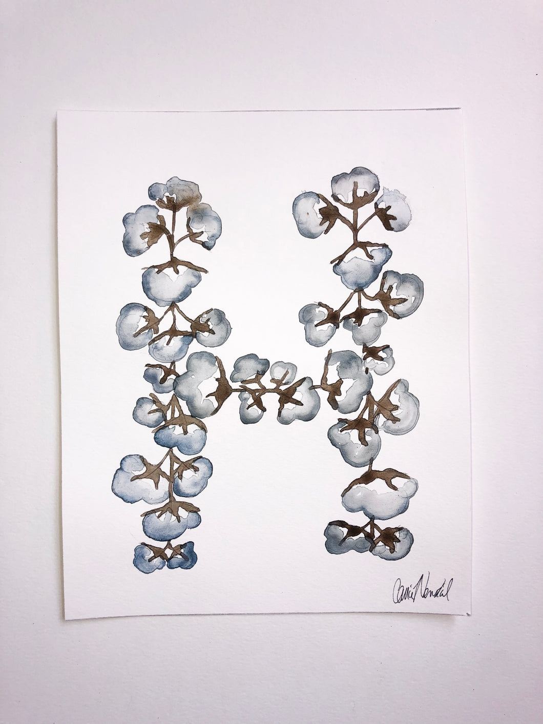 Cotton “H”
