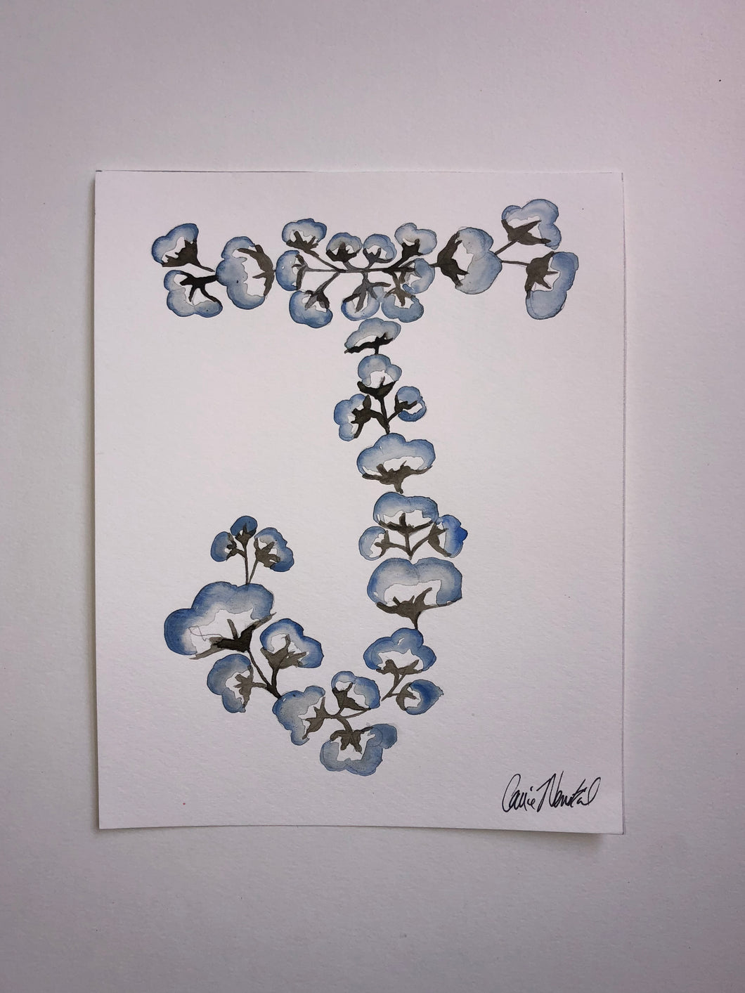 Cotton “J”