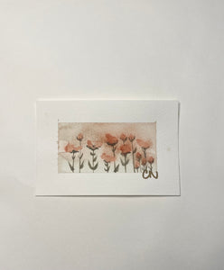 Poppies