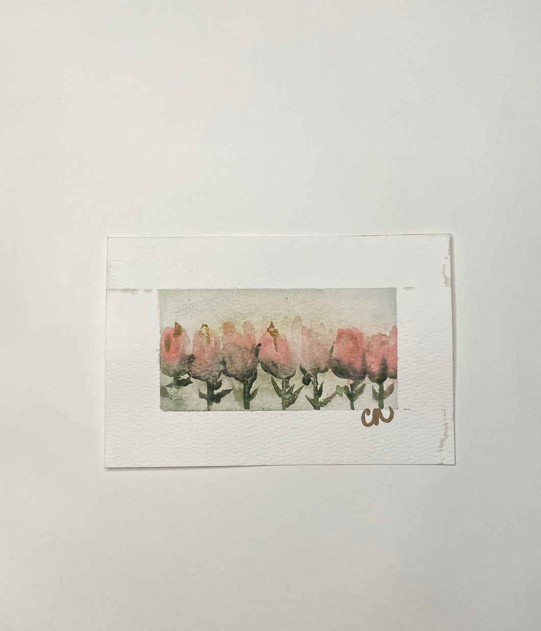 Soft 2