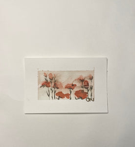 Poppies 2