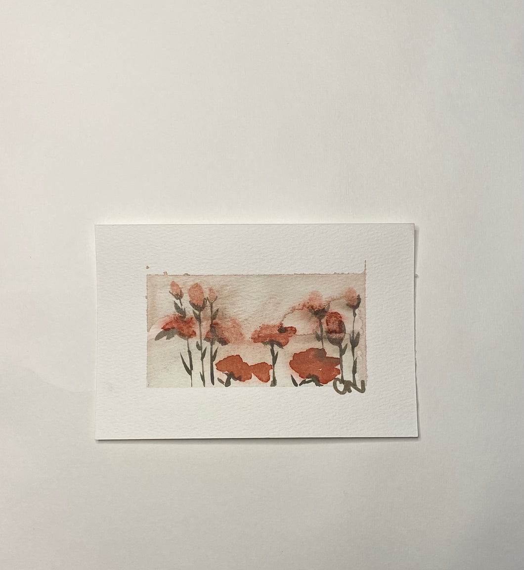 Poppies 2