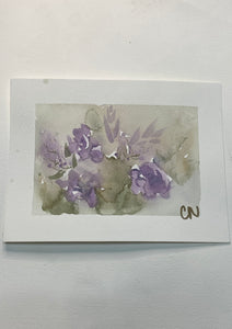 Lavender