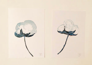 Cotton pair - blue tint - PRINTS