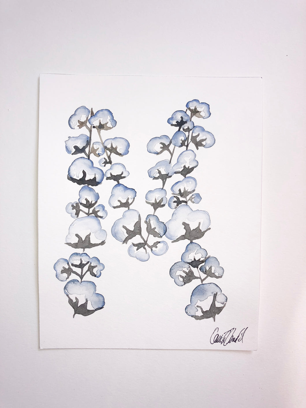 Cotton “M”