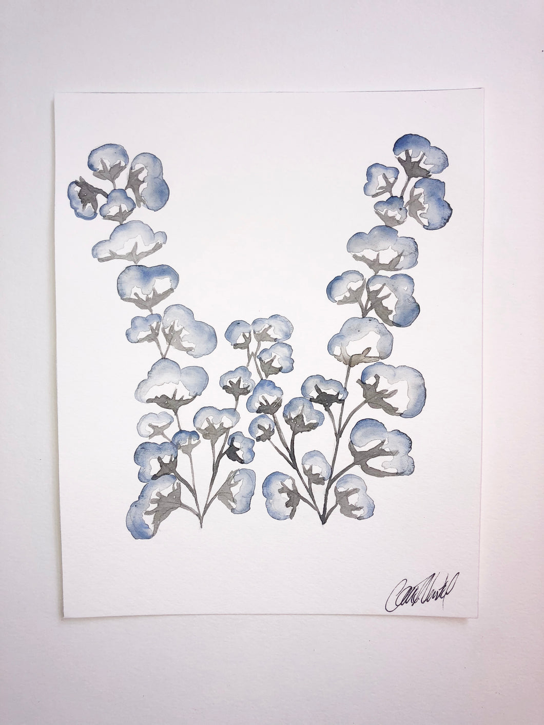 Cotton “W”