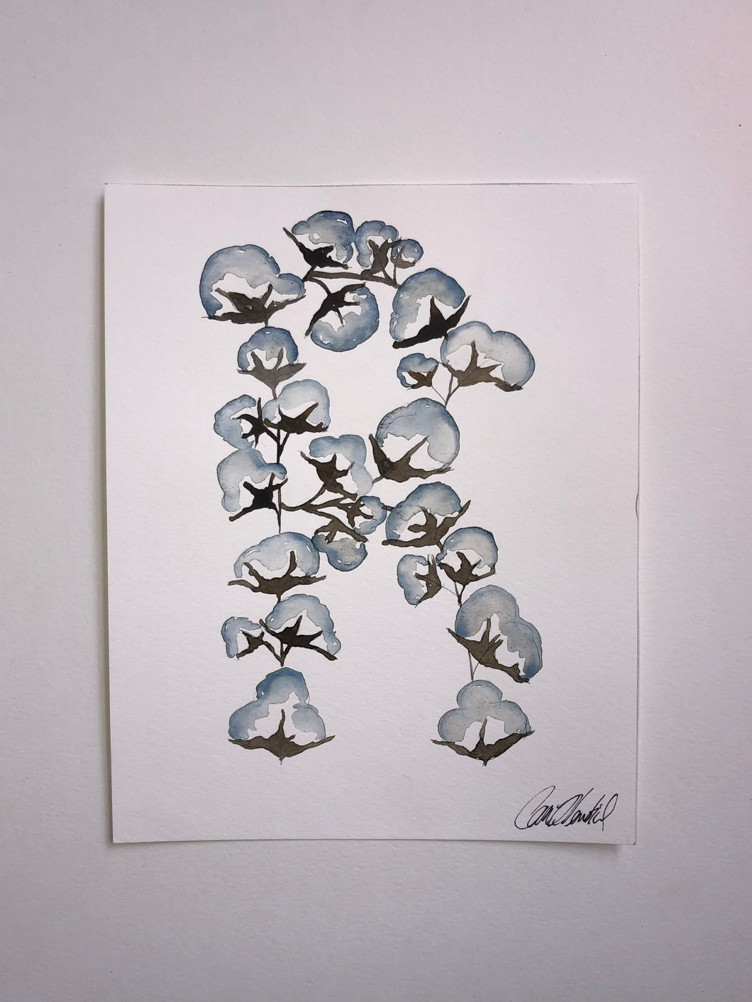 Cotton “R”