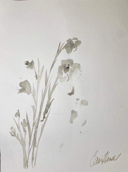 Falling Petals 2